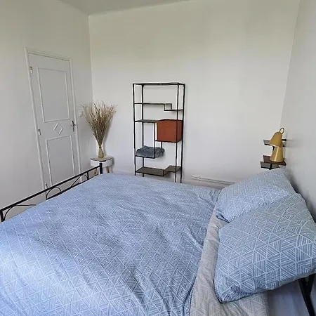 Apartment Avec Vue Sur Meurthe Nancy